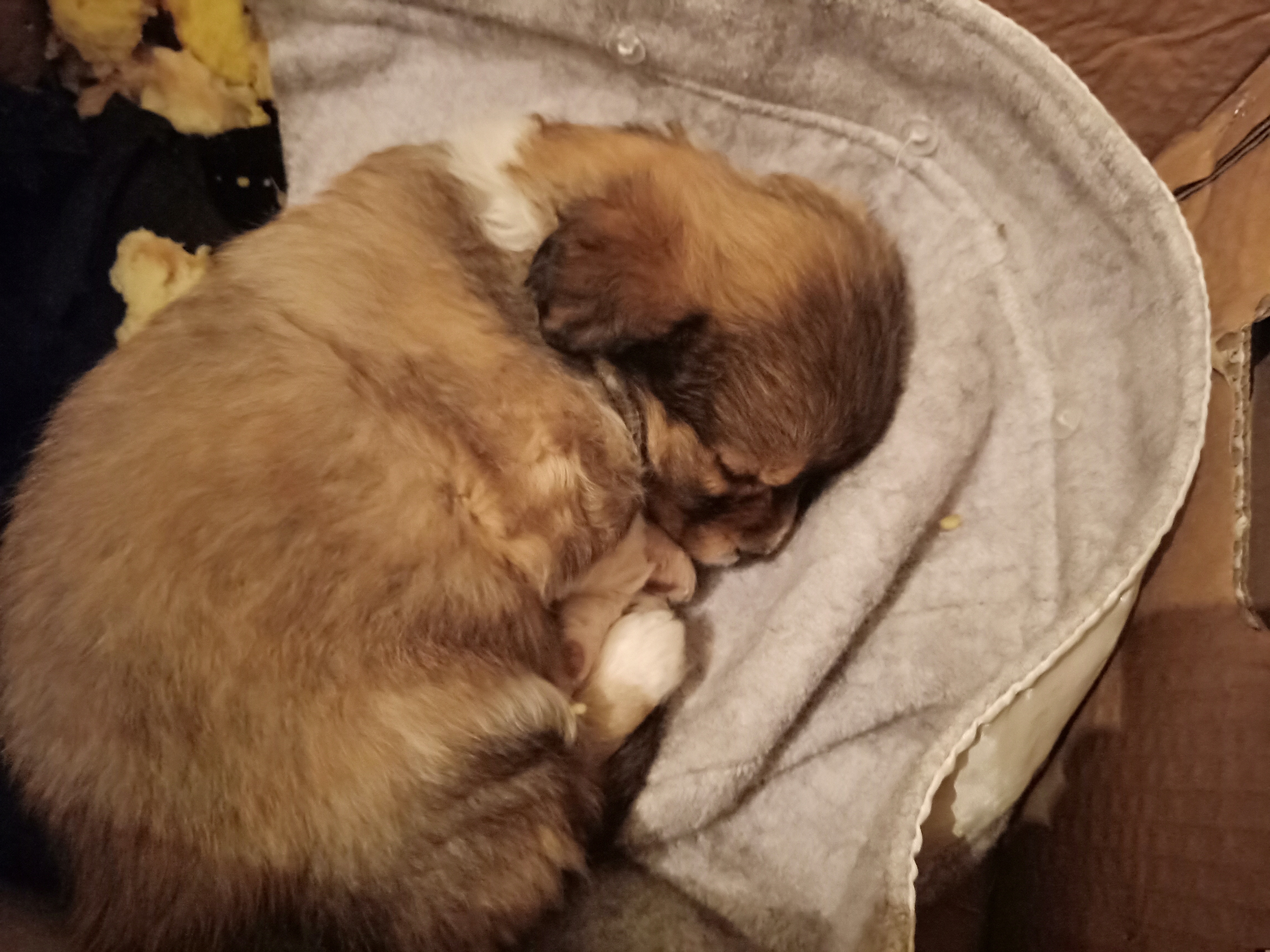 IMG20190106214547.jpg