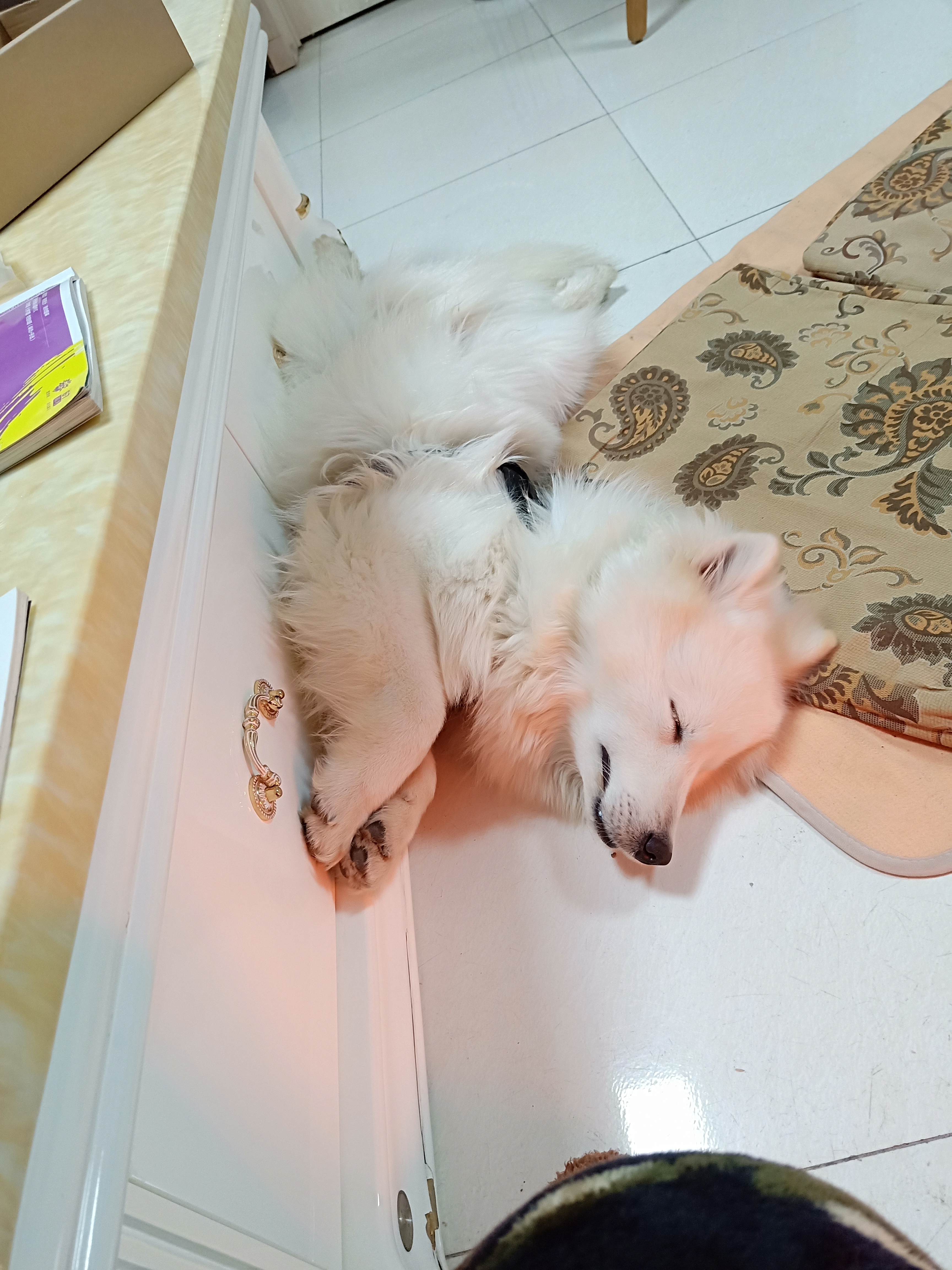 IMG20190217003908.jpg