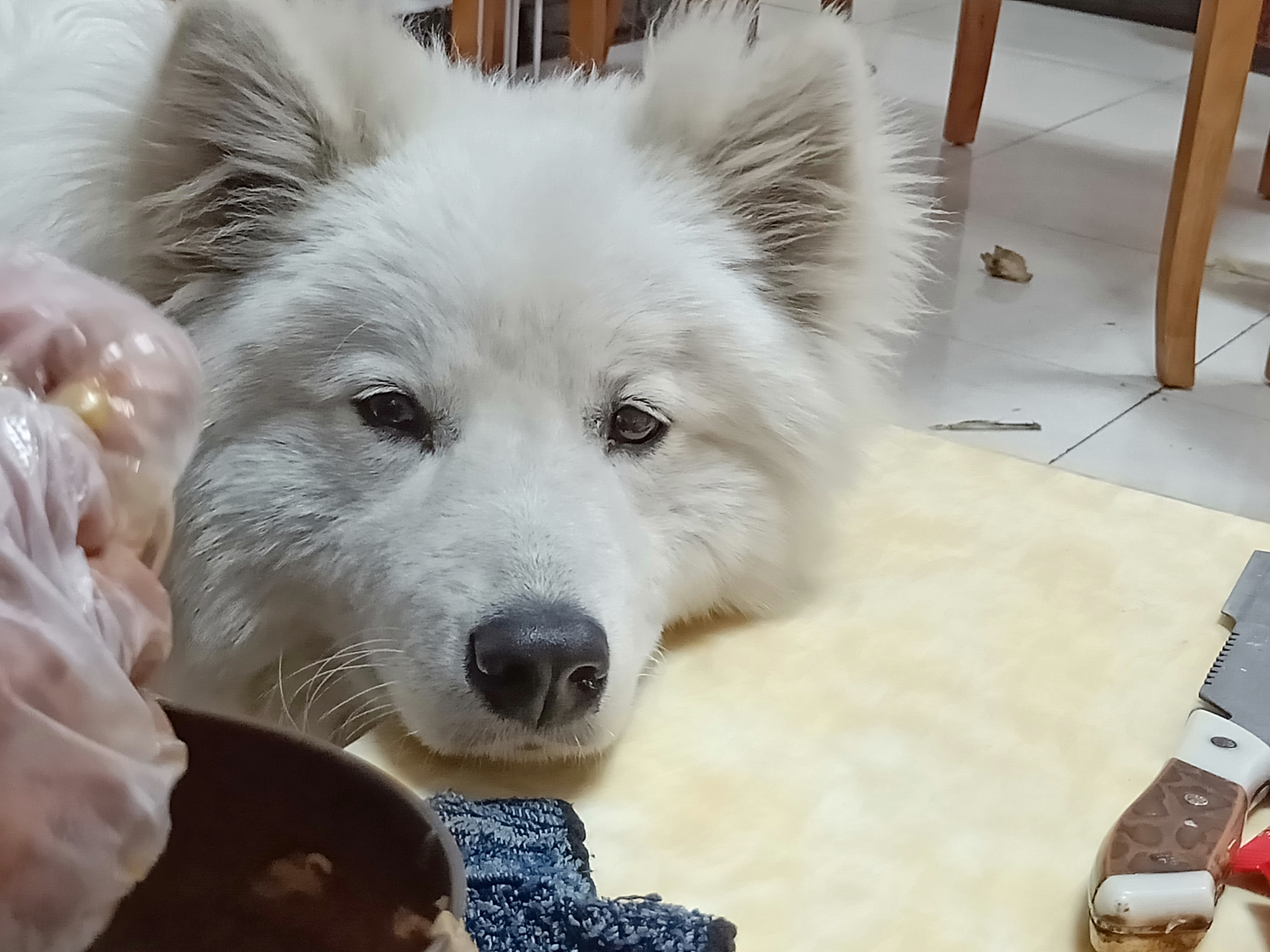IMG20190316175507.jpg