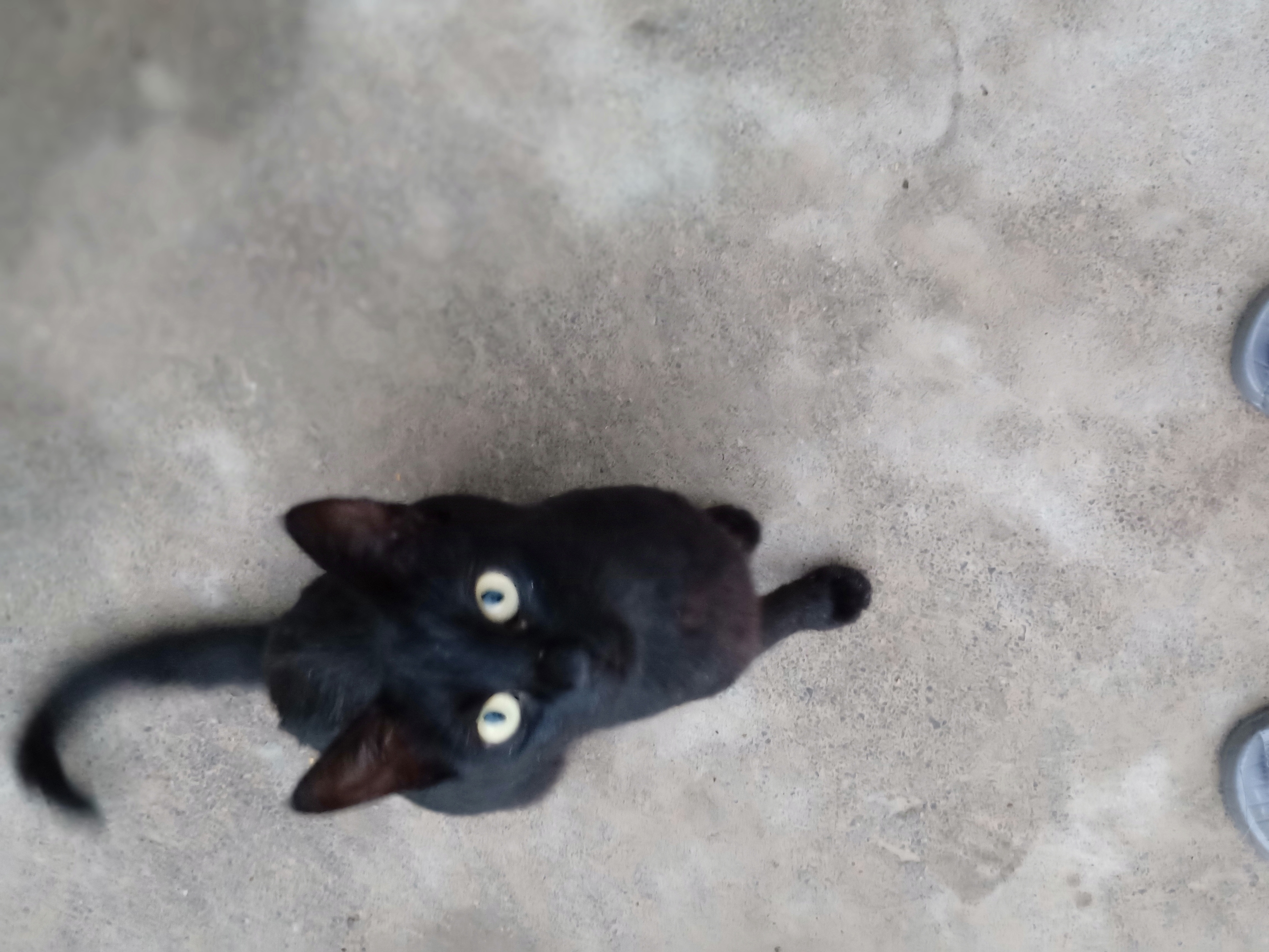IMG20190723191327.jpg
